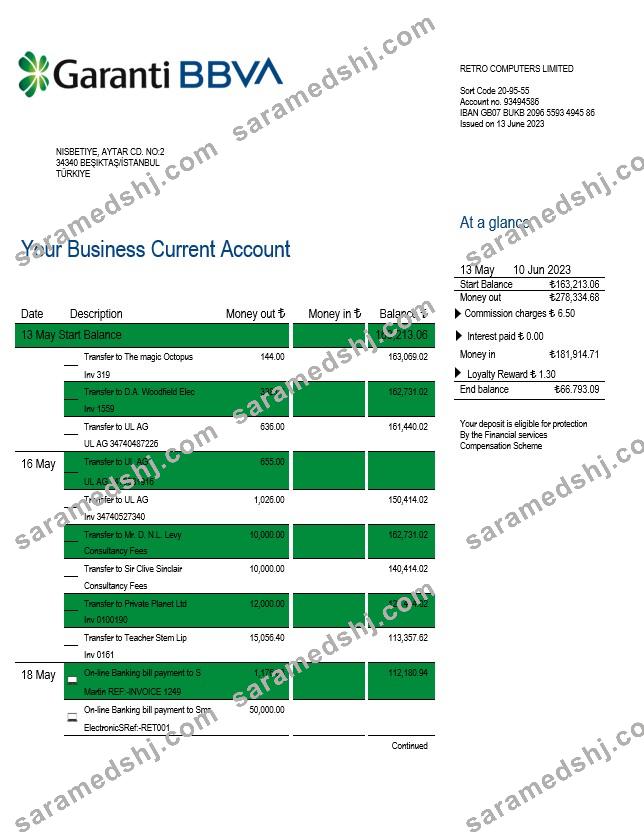 Garanti BBVA Bank enterprise statement Word and PDF template